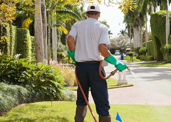 About Long Lake MN Pest Control Pros